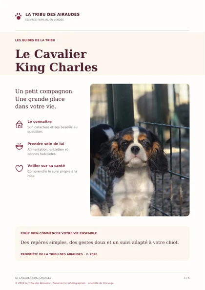 Couverture du livret Le Cavalier King Charles de La Tribu des Airaudes
