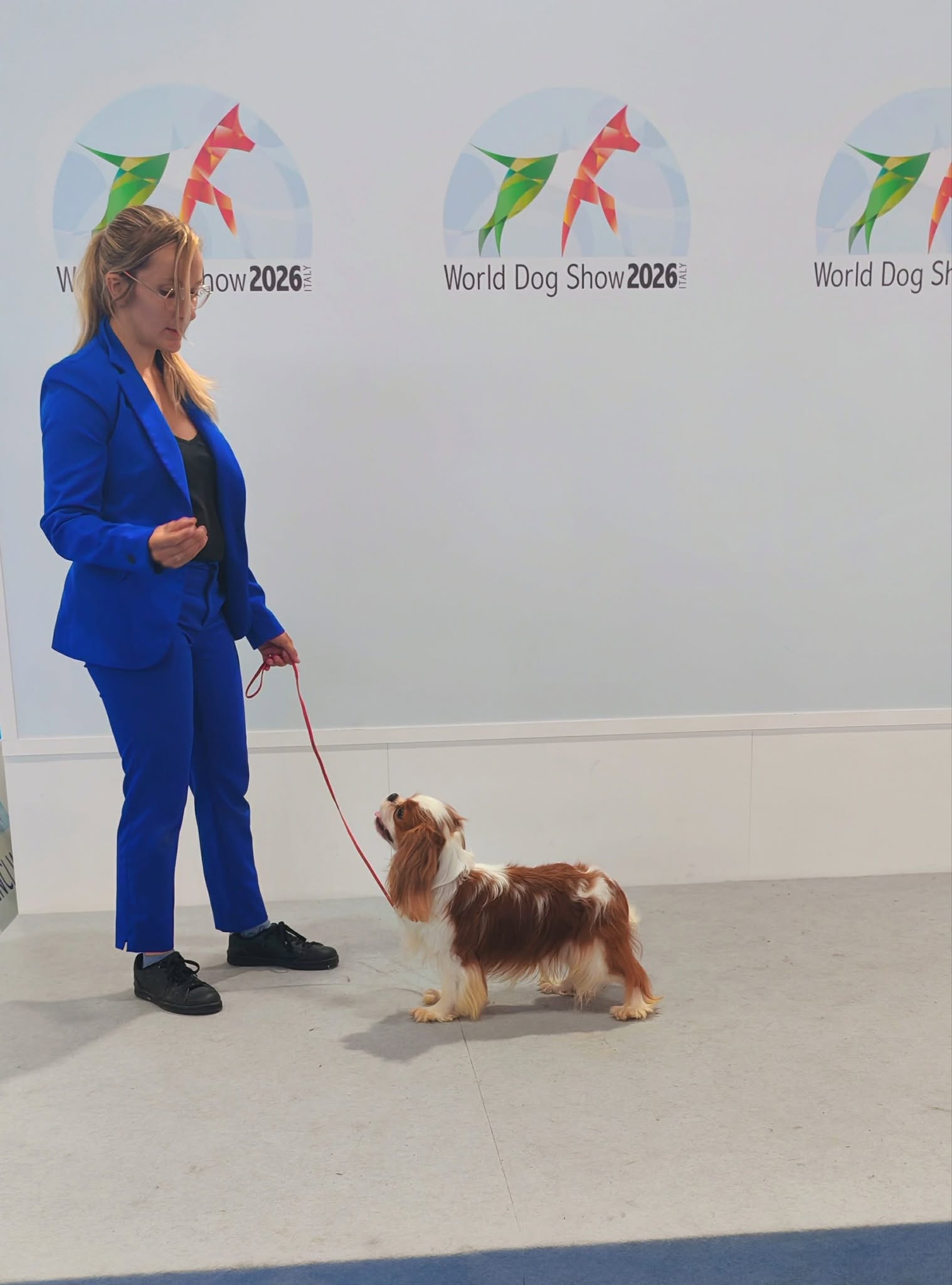 Dingir-Ra Io The Star Lord, Cavalier King Charles Blenheim