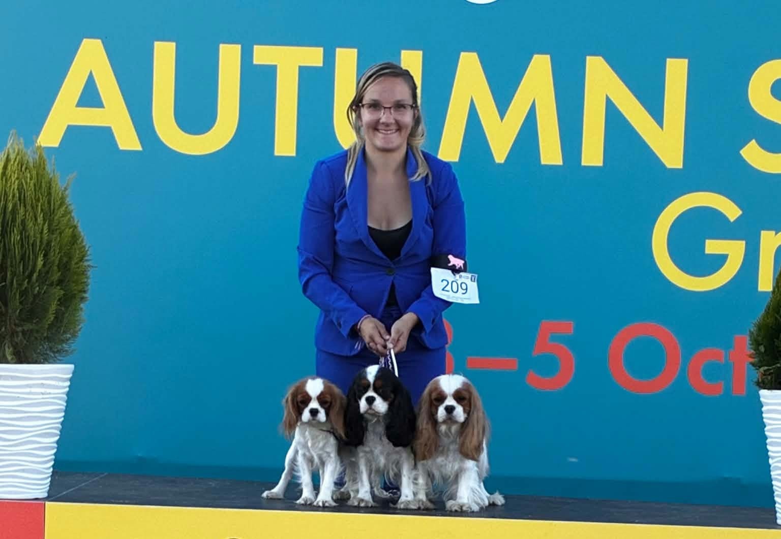 Un beau souvenir d’exposition en Bosnie – La Tribu des Airaudes Trois Cavaliers King Charles réunis sur le podium de l’Autumn Dog Show en Bosnie